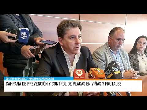 Pest prevention and control campaign in vineyards and orchards