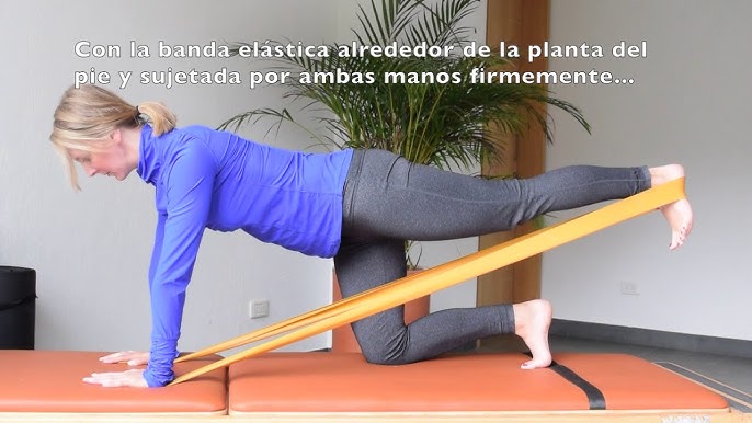 Patadas De Burro Notafitness Com Youtube
