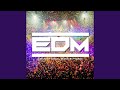 EDM Educational Dance Music Instrumental