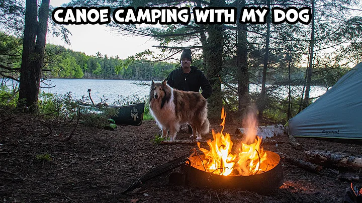 Overnight Canoe Camping With My Dog, Fishies and T...