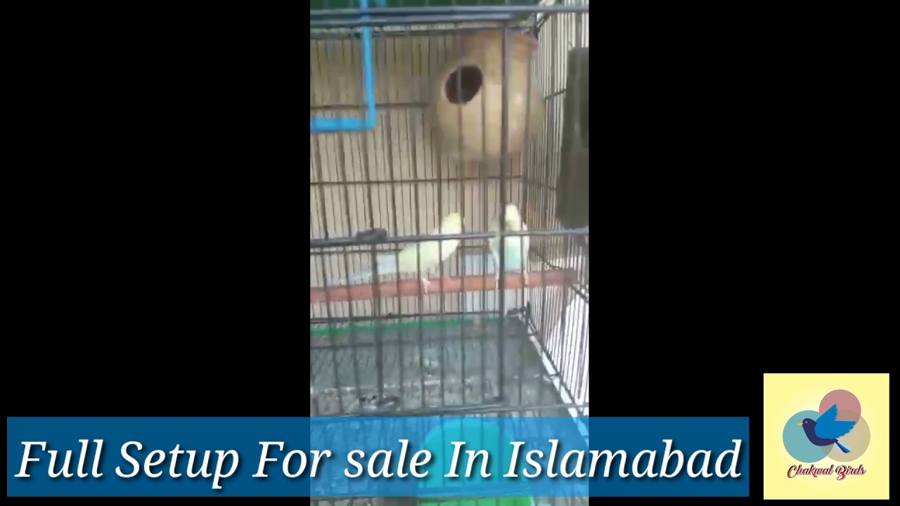 All setup For sale in Islamabad..