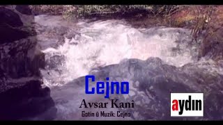 Cejno - Avsar Kanî Resimi