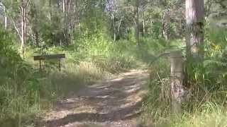 Patrolling & Scouting Skills - Moving Observation