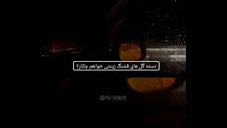 #دکلمه شعر #بعد مرگم سنگ قبر زینتی خواهم چکار؟