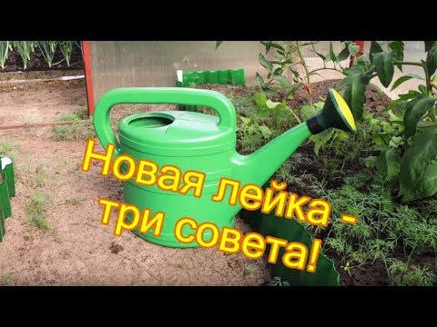 Видео: Когда использовать лейку: советы по использованию лейки в саду