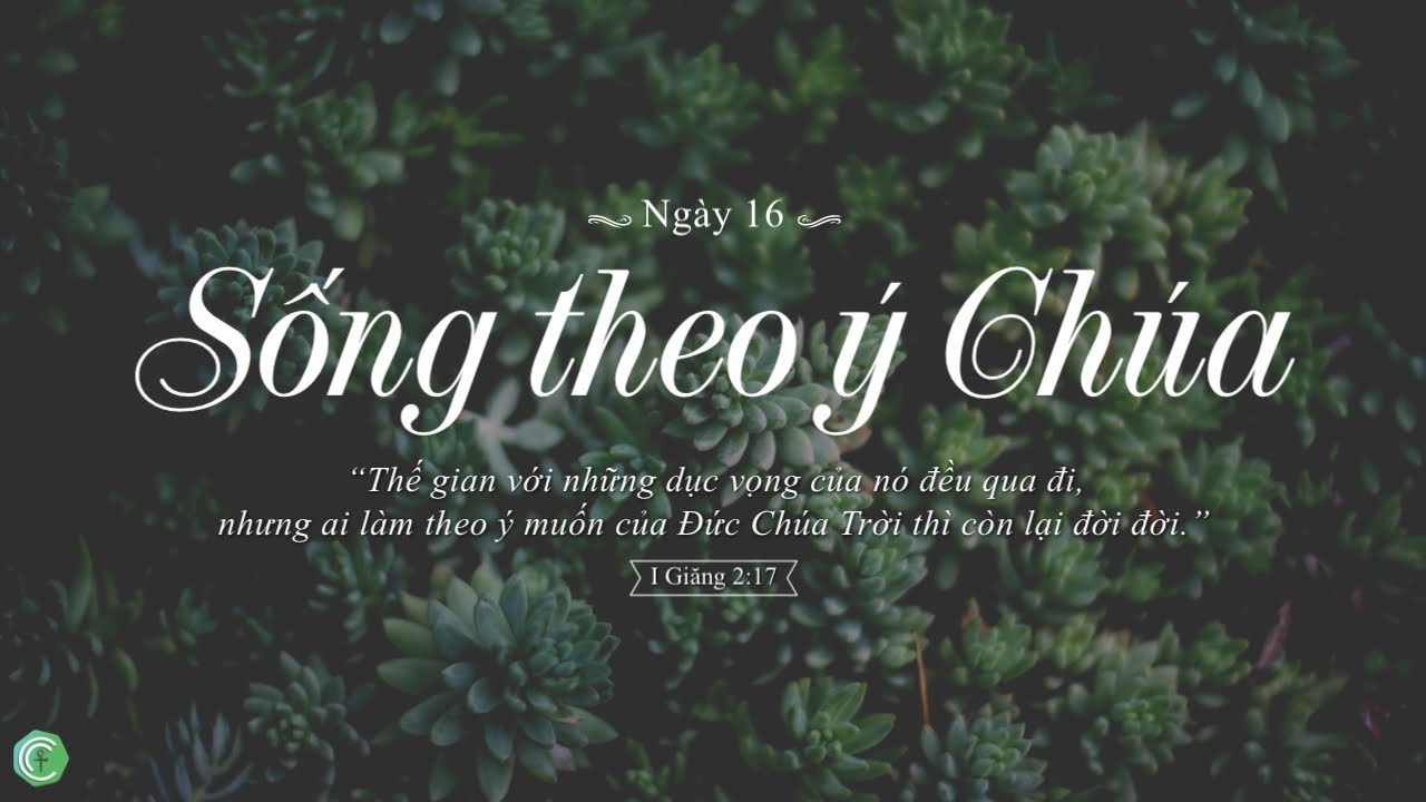 Ngày 16/31 - SỐNG THEO Ý CHÚA - Trích "Năng lực trong lời cầu nguyện của người nữ" episode artwork