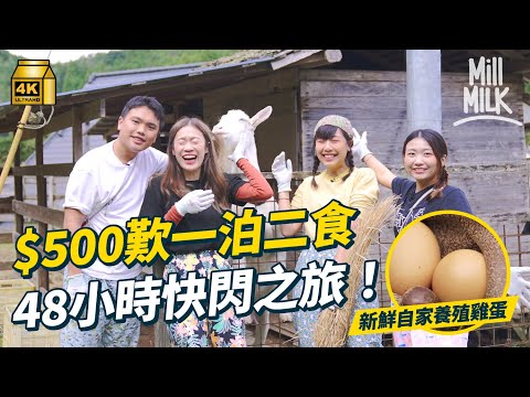 #MM｜$500兩日一夜歎100年日本大阪民宿體驗！食新鮮野菜 自家養殖雞蛋 體驗落手收割稻米 挖蕃薯 Natalie頭髮慘被羊當食物！？｜#MM_Wild部落 #4K