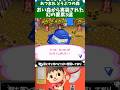 おいでよどうぶつの森から実装された幻の要素3選