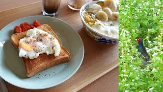 目玉焼きパン　雉と猫 Fried egg toast
