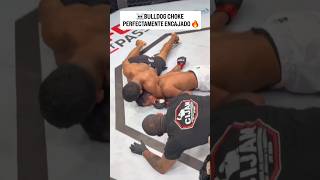 han intentado un #bulldogchoke? Lo conocían? 🔥☠️ #ufc #mma #bjj