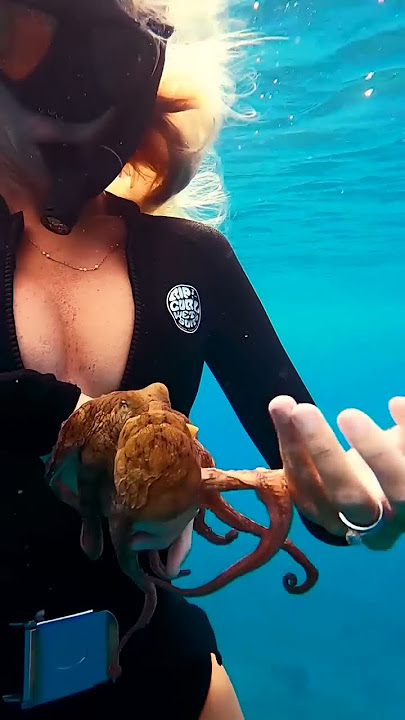 Octopus shows me delicious underwater snack #shorts