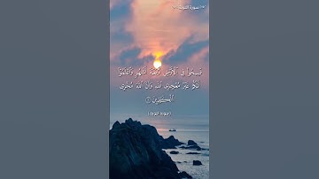 تلاوة سورة التوبة #القرآن_الكريم #qouran_karim #coran #قران_كريم #قرآن #إبتسم #دعاء #quran
