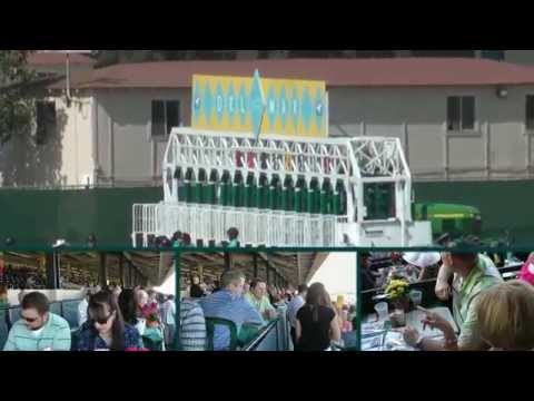 Del Mar - A Day At The Races