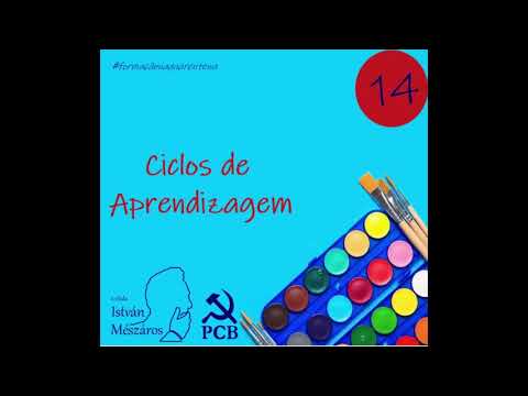 #14 Ciclos de Aprendizagem