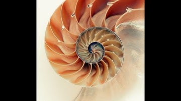 Next Generation for Synthmaster 3