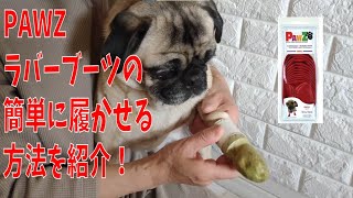 PAWZラバーブーツの簡単に履かせる方法を紹介！！超簡単＆０円で出来るのでお試しください！