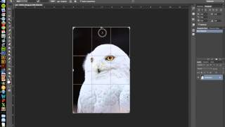 Using Raster Textures in Flash CC