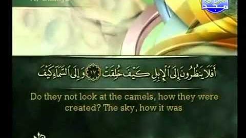 تلاوة خاشعة جميلة سورة الغاشية