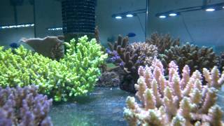 WP 20140606 002