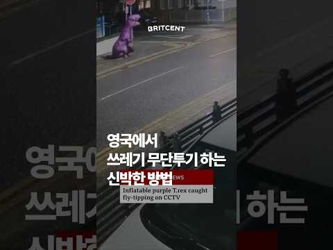 쓰레기 무단 <strong>투기</strong> 영어로? fly _____
