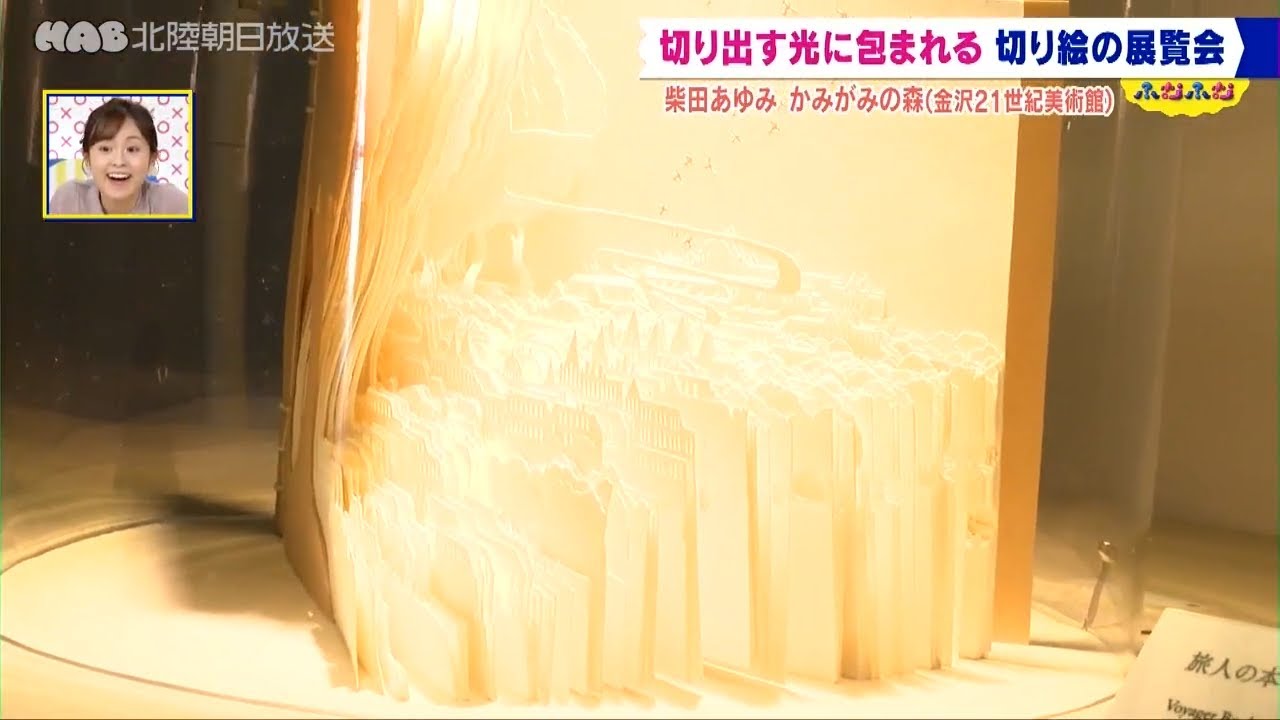 光に包まれる切り絵の展覧会・柴田あゆみ「かみがみの森」 - YouTube