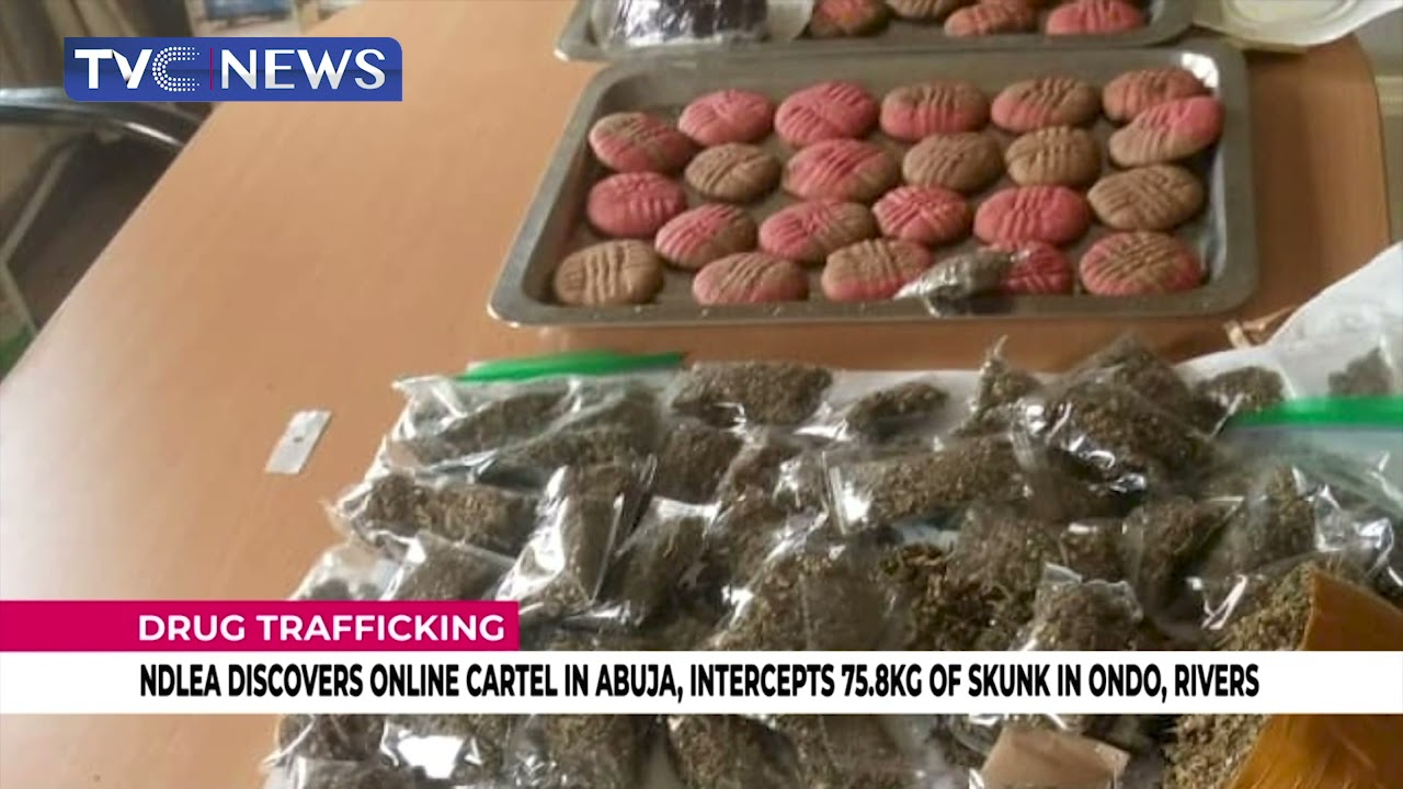 NDLEA Discovers Online Cartel In Abuja, Intercepts 75.8KG Of Skunk In Ondo, Rivers