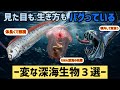 95%解明されていない深海のおかし過ぎる生き物ー3選ー