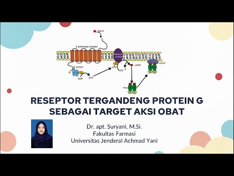 Reseptor Tergandeng Protein G (GPCR) sebagai Target Interaksi Obat