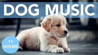 DOG MUSIC! Soft Tunes to Help Your Dog Sleep and Reduce Anxiety! NEW! screenshot 5