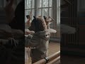 #80smusic #fame #funnyanimals #bear #ballet #dancer #ballerina #dancing #nyc #funny #danceclass #aww