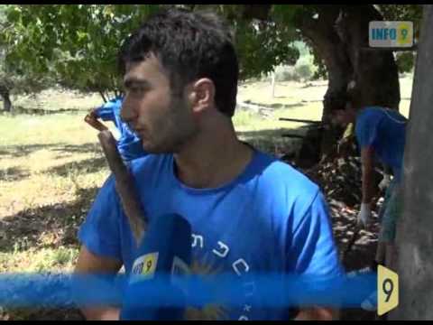 „ქართული ოცნების\" აქცია