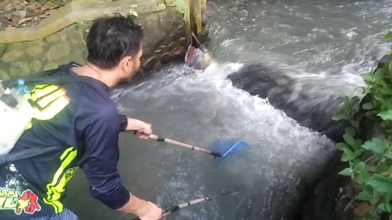 M. Yunus In Adventure | Inventer Elektrik Fisher/Nyetrum Ikan