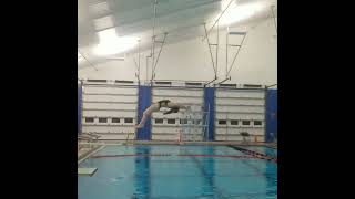 201 A Back Dive Straight Position- 1m springboard diving