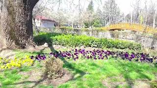 Ankara Kurtuluş Park