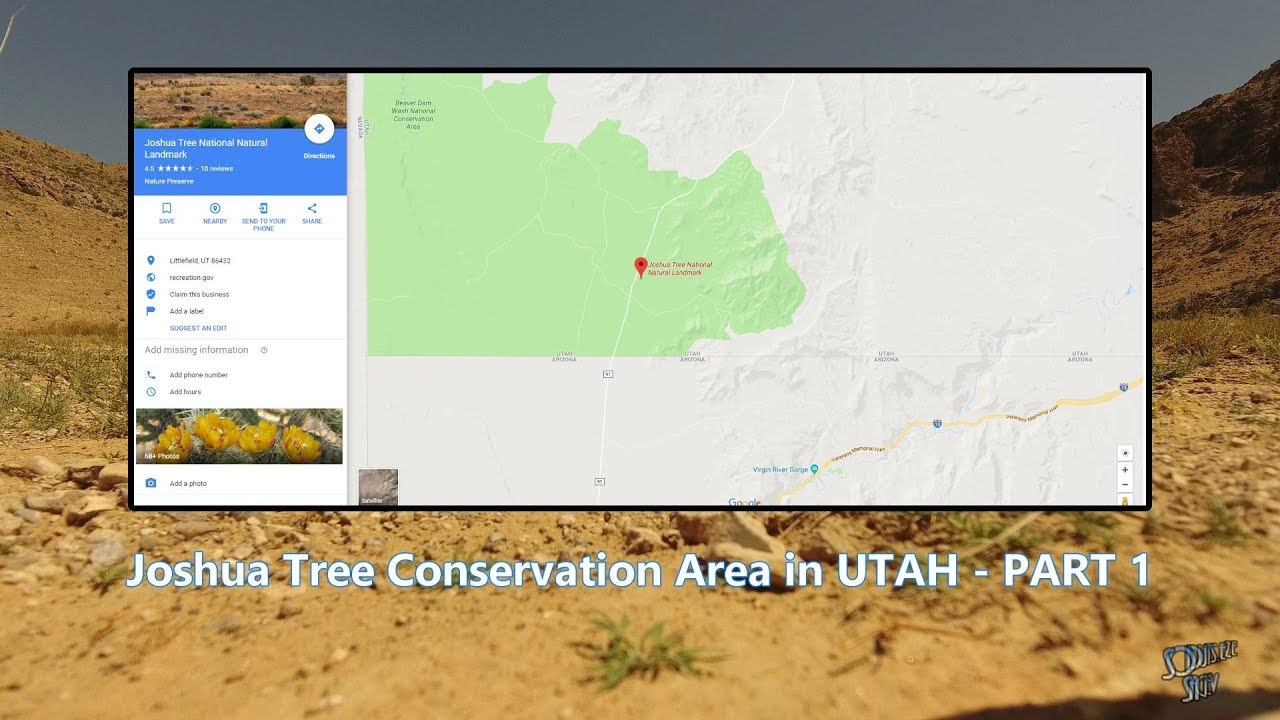Joshua Tree Conservation Area in Utah - Part 1