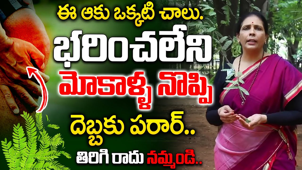 ఈ ఆకు చాలు మోకాళ్ళ నొప్పులు పరార్ | Knee Pain relief | tamarind leaves |  Aruna Devi | iDream