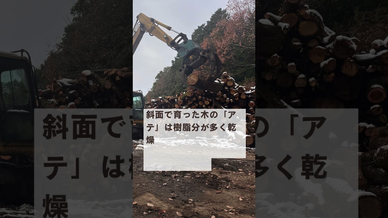 なぜこの薪だけ乾かないの？#薪 #蓄熱薪ストーブ #薪ストーブ