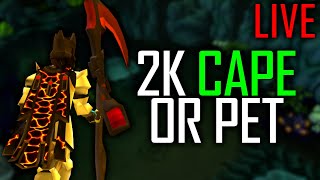 OSRS | GM Does Solo CM Road to 2K or Pet | GIM (Portrait)