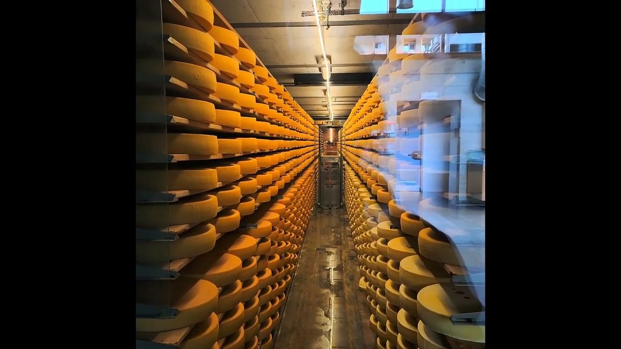 Gruyere's liminal space cheez factory YouTube