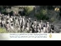غارة جوية على مسلحين من
