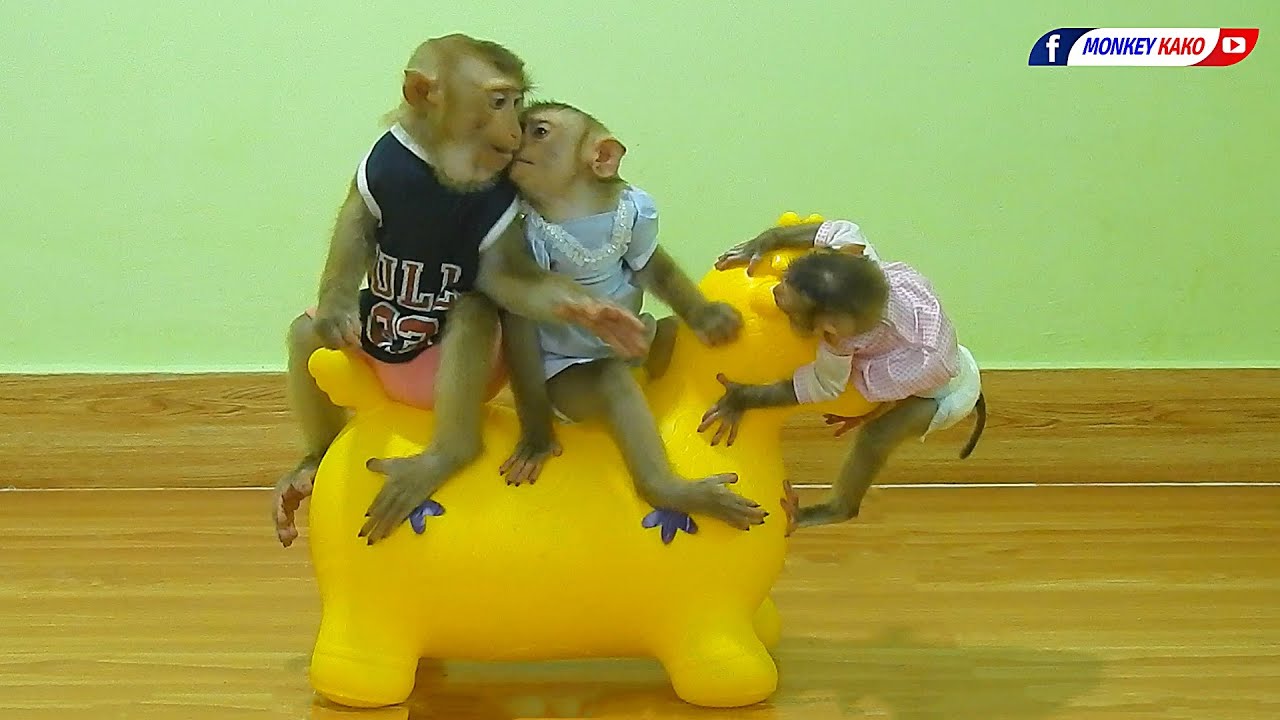 Baby Luna Kissing Monkey Kako And Play Deer Toys With Tiny Nina