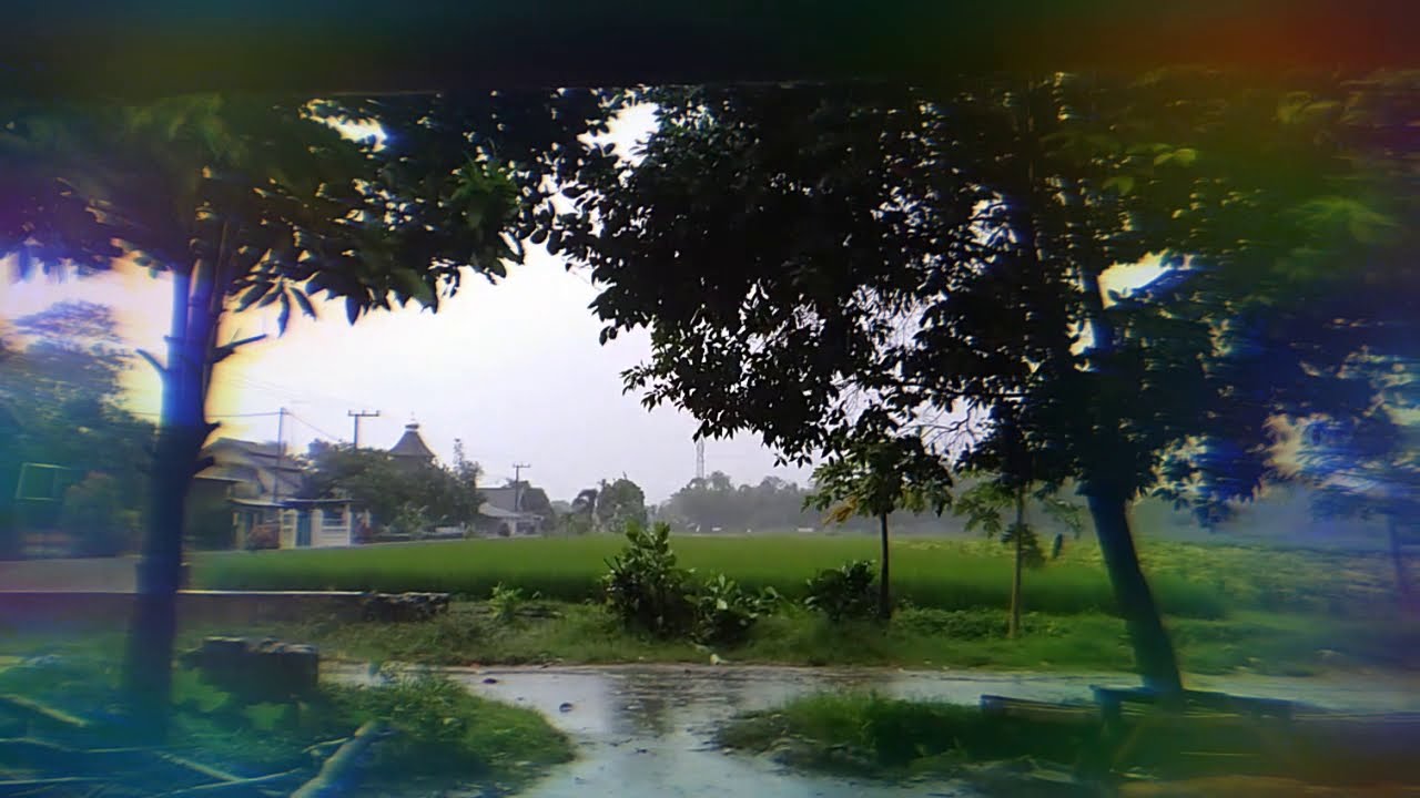 Hujan di Sore hari - YouTube