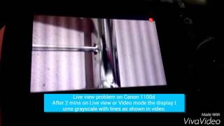 Canon 1100d live view and video problem(I found this problem recently - When I am shooting in live view mode, after two minutes or so the displays turns grayscale with vertical lines on it, it is same while ..., 2015-11-22T16:50:55.000Z)