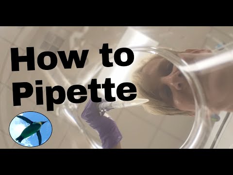 Lab Skills:  How to Pipette thumbnail