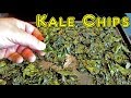 The Best Homemade Kale Chip Recipe Ever!