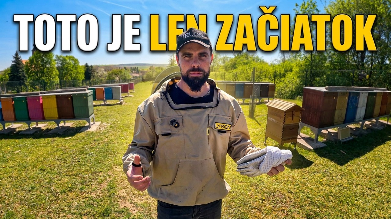 Makáme naplno. Toto všetko sa deje teraz 🐝🍯