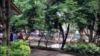 Makan Siang di Area Telaga Arwana Cibubur