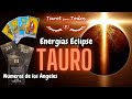 Tauro ♉️ Energías Eclipse y Números de los Ángeles #tarotevolutivo #tauro