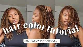 DIY Coloring My Locs Tutorial | InDepth root touch up  no bleach |  Dark & Lovely Box Dye