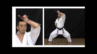 Kyokushin Kan - Kihon Sai (Sai Basics)